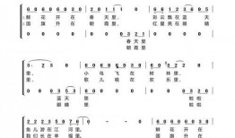 祖国在我心窝里视频,深情演绎爱国情怀