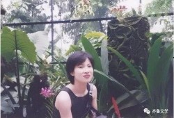 苍南唱桐诗视频,探寻古韵新声的视听之旅