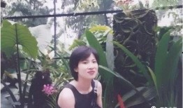 苍南唱桐诗视频,探寻古韵新声的视听之旅