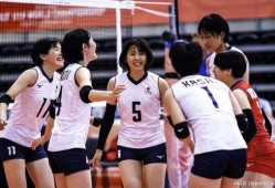 日本女排视频,精彩瞬间回顾
