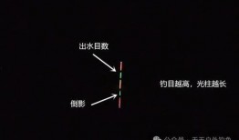 电子夜光漂调漂视频,揭秘电子音乐的魅力瞬间