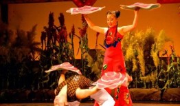 东北二人转视频大全集,笑谈人生百态，传承民间艺术