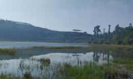 外国拖拉机干活视频,农业机械化助力农业生产