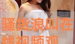 骚货在线视频,一场网络直播的狂欢与争议