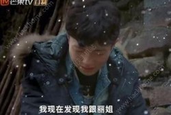 变形计视频,见证成长与蜕变的人生旅程