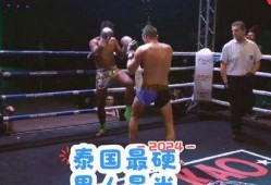 自由搏击视频,自由搏击视频中的精彩对决回顾