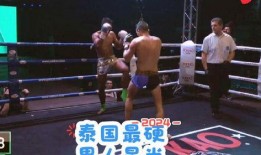 自由搏击视频,自由搏击视频中的精彩对决回顾