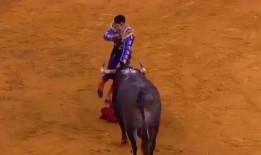 最残忍的斗牛伤人视频,最残忍斗牛伤人事件全程回顾