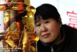 活毒蛇泡酒视频,惊险刺激的民间传统酿造过程揭秘