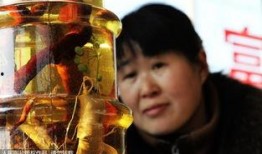 活毒蛇泡酒视频,惊险刺激的民间传统酿造过程揭秘