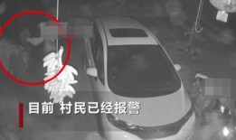 2017偷内衣裤视频,揭秘隐私泄露背后的真相