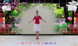 万人迷舞蹈视频,跟随舞蹈视频领略魅力风采