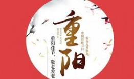 重阳节视频祝福,温馨祝福，共度美好时光