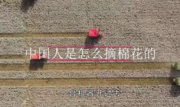 机器摘棉花视频