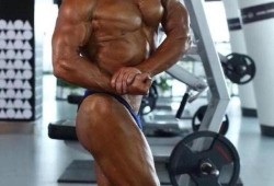 健美老人杨新民视频,健美老人的健身之路与人生感悟