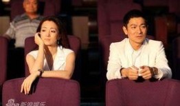 刘德华巩俐视频现场,现场视频引热议