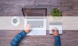 粉鲍鱼视频区,视频区带你领略海洋珍馐的魅力