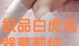 萌白酱视频观看,揭秘美食制作背后的趣味与技巧