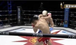 邱建良拳击视频,热血激战，王者归来