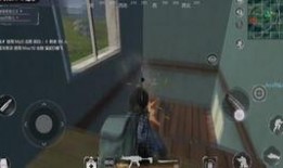 给小仓鼠做房子视频,DIY创意仓鼠屋制作过程揭秘