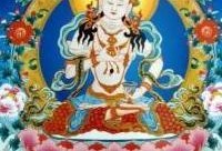 金刚萨埵心咒仪轨视频,净化心灵，开启智慧之旅