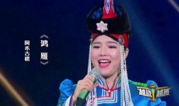 阿木古楞鸿雁视频,探寻草原文化的魅力与传承