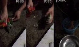 鳖怎么杀视频,鳖的宰杀与处理步骤详解
