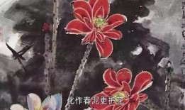 己亥杂诗朗诵视频,穿越时空的诗意之旅