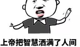 汾阳话骂人搞笑视频,一场骂人视频的欢乐盛宴