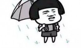 汾阳话骂人搞笑视频,一场骂人视频的欢乐盛宴