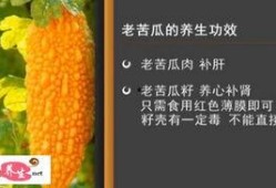 家政女皇陈允斌视频,揭秘家庭清洁与生活智慧