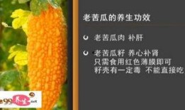 家政女皇陈允斌视频,揭秘家庭清洁与生活智慧