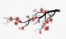 梅花单刀高清教学视频,高清教学视频深度解析