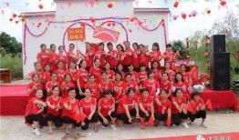 广西藤县太平配音视频,探寻广西方言魅力