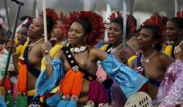 斯威士兰选妃视频