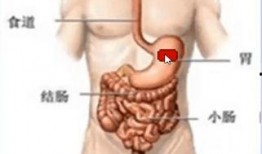 鼻肠管置入视频,鼻肠管置入操作步骤及要点解析