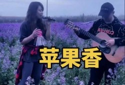 新疆吉他弹唱高手视频,指尖舞动，奏响丝路风情