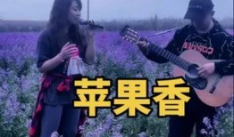 新疆吉他弹唱高手视频,指尖舞动，奏响丝路风情