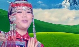 阿木古楞鸿雁视频,探寻草原文化的魅力与传承