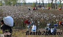 机器摘棉花视频