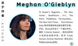 视频盯着你的卡,揭秘卡牌奥秘，解锁视觉新体验