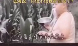 笑场视频,捕捉生活中的欢乐瞬间