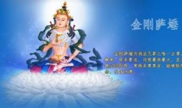 金刚萨埵心咒仪轨视频,净化心灵，开启智慧之旅