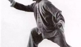 董虎岭太极拳视频,传承与创新的艺术展现