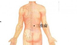 减肥拔罐肚子位置视频