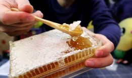 买蜂巢蜜视频,跟随视频探索天然蜜源之美