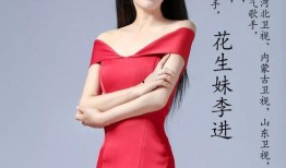 大明星李进最近视频,明星背后的生活点滴