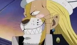 娜美黄色视频,揭秘网络迷雾下的隐私危机