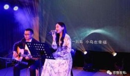 苍南唱桐诗视频,探寻古韵新声的视听之旅