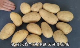 老版土豆视频大全,经典回忆，重温时光流转中的精彩瞬间